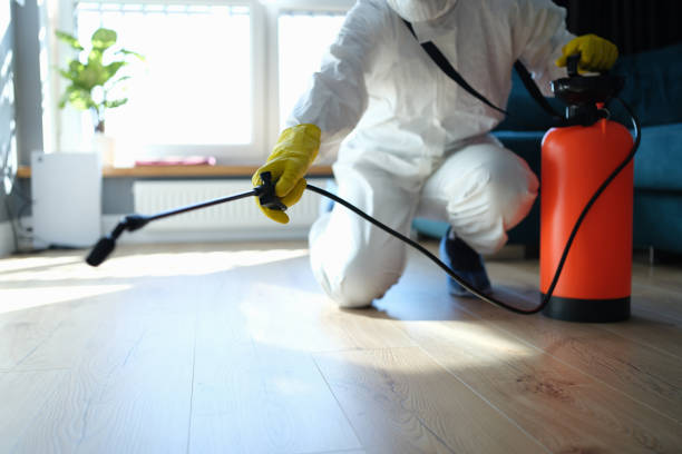 Best Flea Control Services  in Mill Creek East, WA